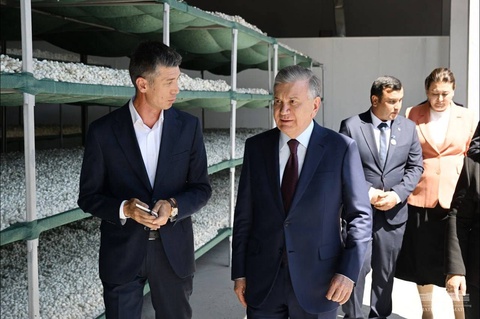 Президент жібек кәсіпорнының қызметімен танысты