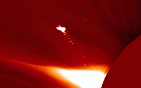 Quyoshda uchayotgan qushga o'xshash sirli obyekt aniqlandi