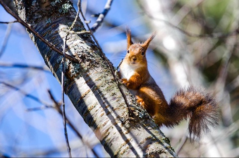Прогноз погоды на день 21 февраля