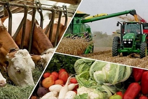 Казахстан готов увеличить аграрный экспорт в Узбекистан до 14,5 млн тонн