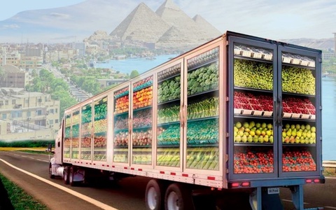 Oʻzbekiston mevalari uchun Misr bozoriga yoʻl ochildi