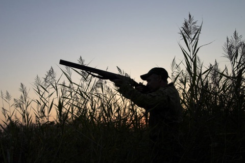 Oʻzbekistonda ayrim qush turlarini ovlashga ruxsat berildi