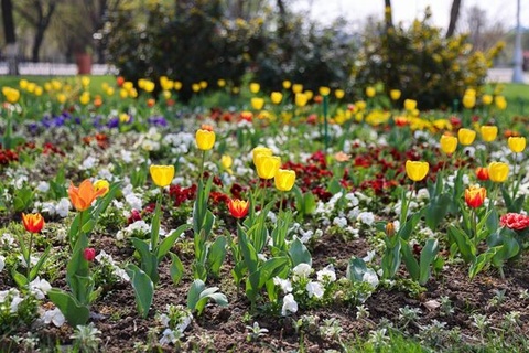 Дам олиш кунларида қандай об-ҳаво кузатилади?