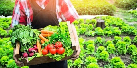 Дар Ӯзбекистон барои фермерон лоиҳаи бузургтарини таълимӣ оғоз гардид