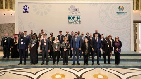 Миграция түрлерін қорғау бойынша ынтымақтастық нығайтылады