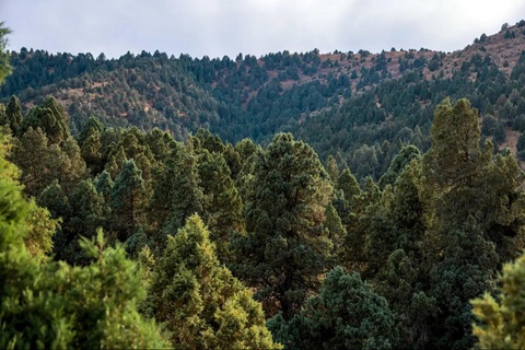 Oʻzbekiston milliy tabiiy meros obyektlari hududida qurilish ishlari uchun talablar belgilandi