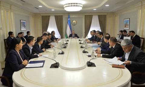 Senat qo‘mitasida 2025-yilga mo‘ljallangan Davlat dasturi loyihasi muhokama etildi