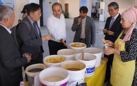 Корея инвестирует в развитие пчеловодства Узбекистана