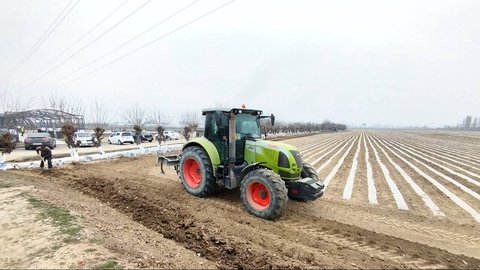 Әндижанда бириншилерден болып шигит егиси басланды