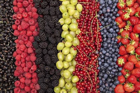 В 2025 году в Узбекистане произведено 3,48 млн тонн фруктов и ягод