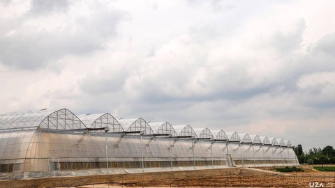 Адыр жерлерде кемінде 500 гектарға  жылыжай массивтері ұйымдастырылады.