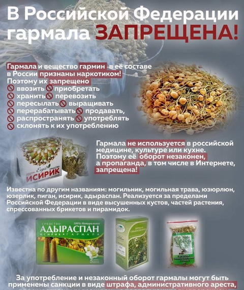 Rossiyada isiriqni saqlash va tarqatish uchun jinoiy javobgarlik joriy etildi