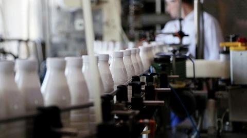 Sut mahsulotlari ustiga uning tabiiy yoki quruq sutdan ishlab chiqarilganini yozib qoʻyish shart boʻladi