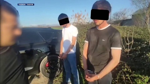 В Ташкентской области изъята крупная партия синтетических наркотиков, доставленных из-за рубежа