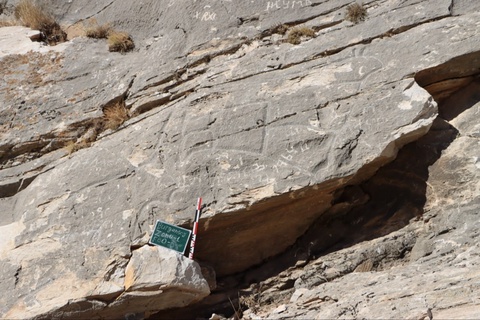 Нұрата тау жотасындағы сирек кездесетін жартас суреттері құжатталды