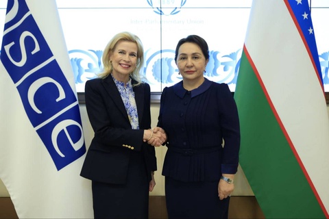 A meeting was held with the Chairman of the OSCE Parliamentary Assembly