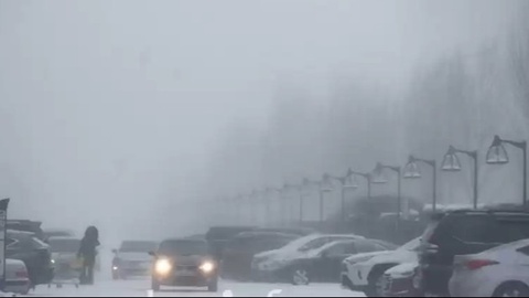 Qozogʻiston yoʻlida buzilib qolgan avtobusdagi vatandoshlarimizga yordam koʻrsatildi