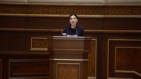 Сенаторы рассмотрели доклад Уполномоченного по правам ребенка