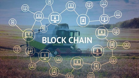 Появилась первая блокчейн-сеть для отслеживания всех этапов производства агропродукции