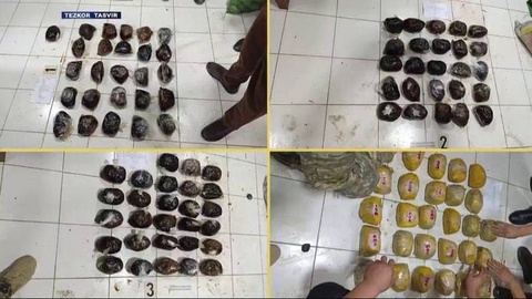 В Узбекистане пресекли контрабандный ввоз более 100 кг наркотиков из Таджикистана