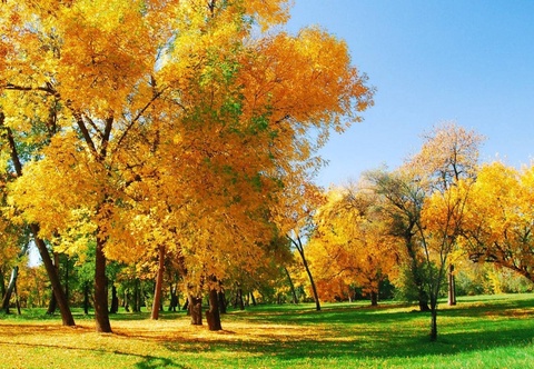 Dry and warm weather will remain in Uzbekistan over the weekend, a cold snap is expected in the north