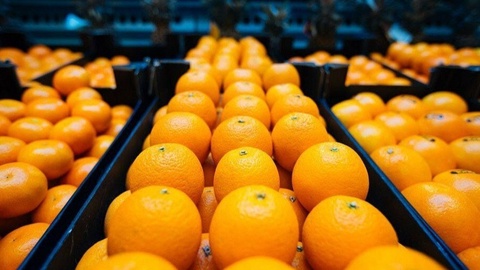 Эрон логистика маркази Ўзбекистон билан ҳамкорликни йўлга қўймоқчи