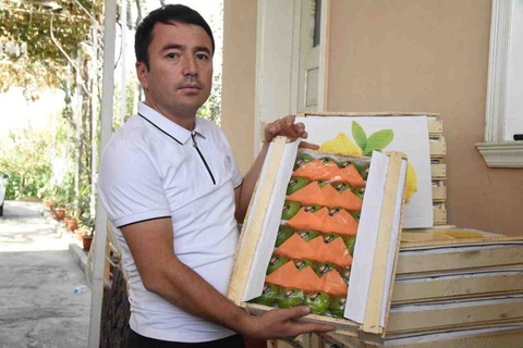 Uchkoʻprikda yetishtirilgan laym va limonlar xorijga eksport qilinmoqda
