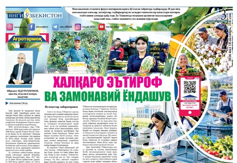 Халқаро эътироф ва замонавий ёндашув