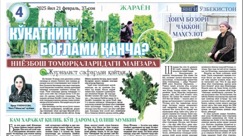 Koʻkatning bogʻlami qancha?