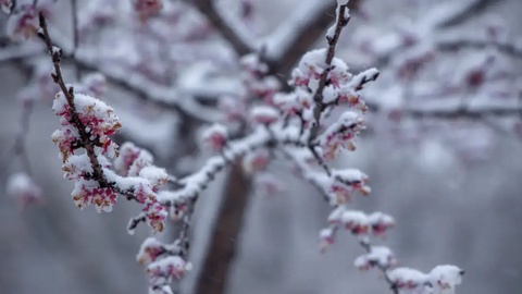 Sovuq antitsiklon kirib kelmoqda: havo sifati vaqtincha yomonlashishi mumkin