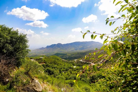 Охраняемые природные территории Узбекистана будут включены в список объектов национального природного наследия