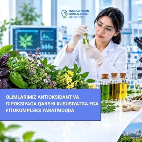 Olimlarimiz antioksidant va gipoksiyaga qarshi xususiyatga ega fitokompleks yaratmoqda