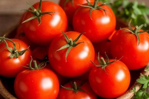 Ученые обнаружили, что привычные помидоры могут защищать печень от воспаления