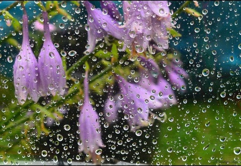 Прогноз погоды на день 10 марта