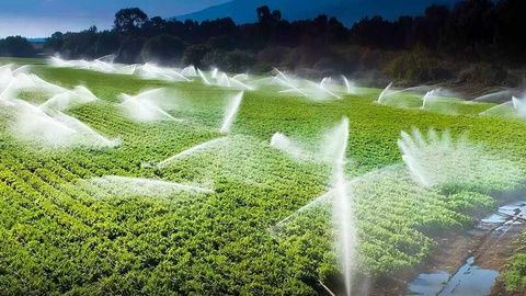 Суўдан ақылға муўапық пайдаланыў - экологияның стратегиялық мәселеси