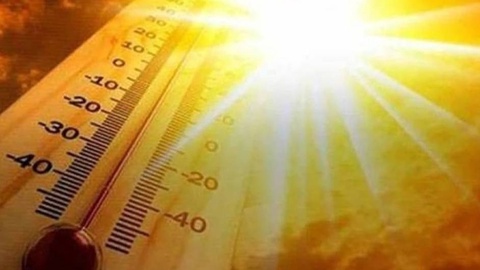 В Узбекистане в выходные сохранится аномальная жара до +43 градусов, а на следующей неделе ожидается снижение температуры
