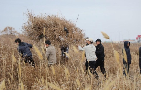 «Жасыл мәкан» көлеми кеңеймекте