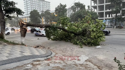 Toshkent hududida kuchli shamol boʻlishi kutilmoqda