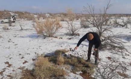 Заповедные маршруты «Актау-Тамды»