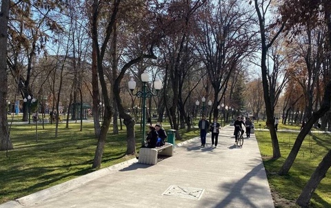 Прогноз погоды на день 29 декабря