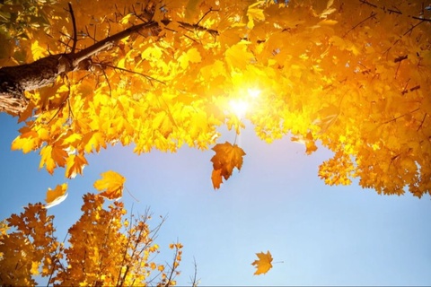 Демалыс күндері Өзбекстанда жылы ауа температурасы сақталады