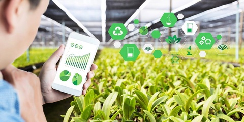 Agrar sohada toʻlovlar agentligi tashkil etiladi