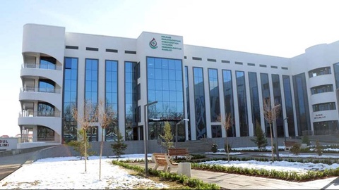 Онкогематология: что помогает одержать победу над серьезным недугом?