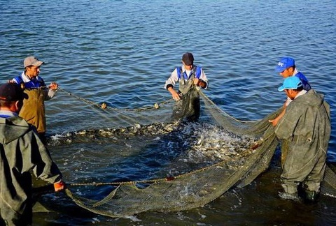 В Узбекистане утверждены Правила рыболовства в естественных водоемах