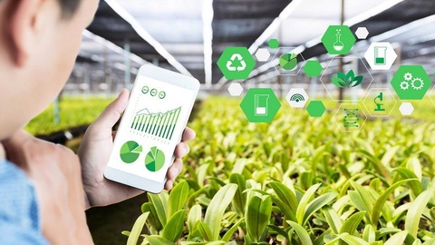 Agrar sohada davlat boshqaruvi: “Qancha ish qilindi?”, emas, balki “Qanday natijaga erishildi?”, degan yondashuv ustuvor boʻladi