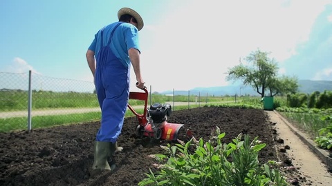850 mingdan ortiq tomorqaning suv taʼminoti yaxshilanadi