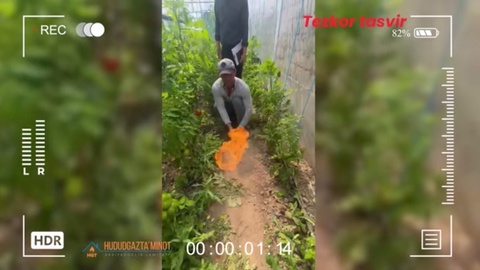 Gaz tarmogʻidagi “qora oʻra”lar: Bir yilda 173 mingta qonunbuzarlik aniqlandi