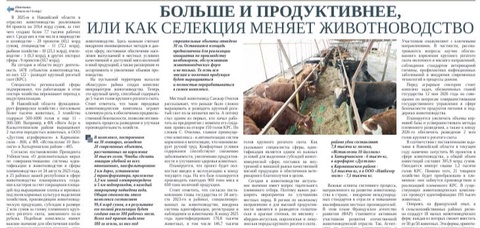 Больше и продуктивнее, или как селекция меняет животноводство