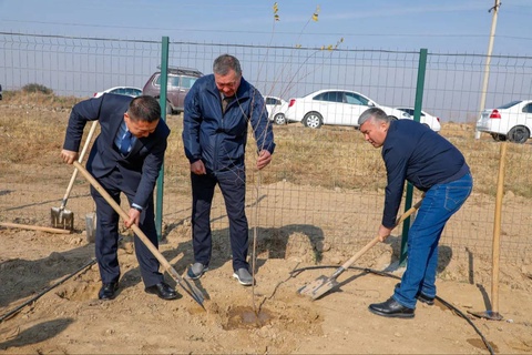 В Арнасайском районе создан «Узбекско-китайский галофитный сад дружбы»
