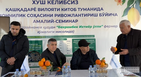 Kitob tumanida limonchilikni rivojlantirishga bagʻishlangan amaliy seminar oʻtkazildi